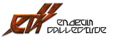 Endrum Collective Banner